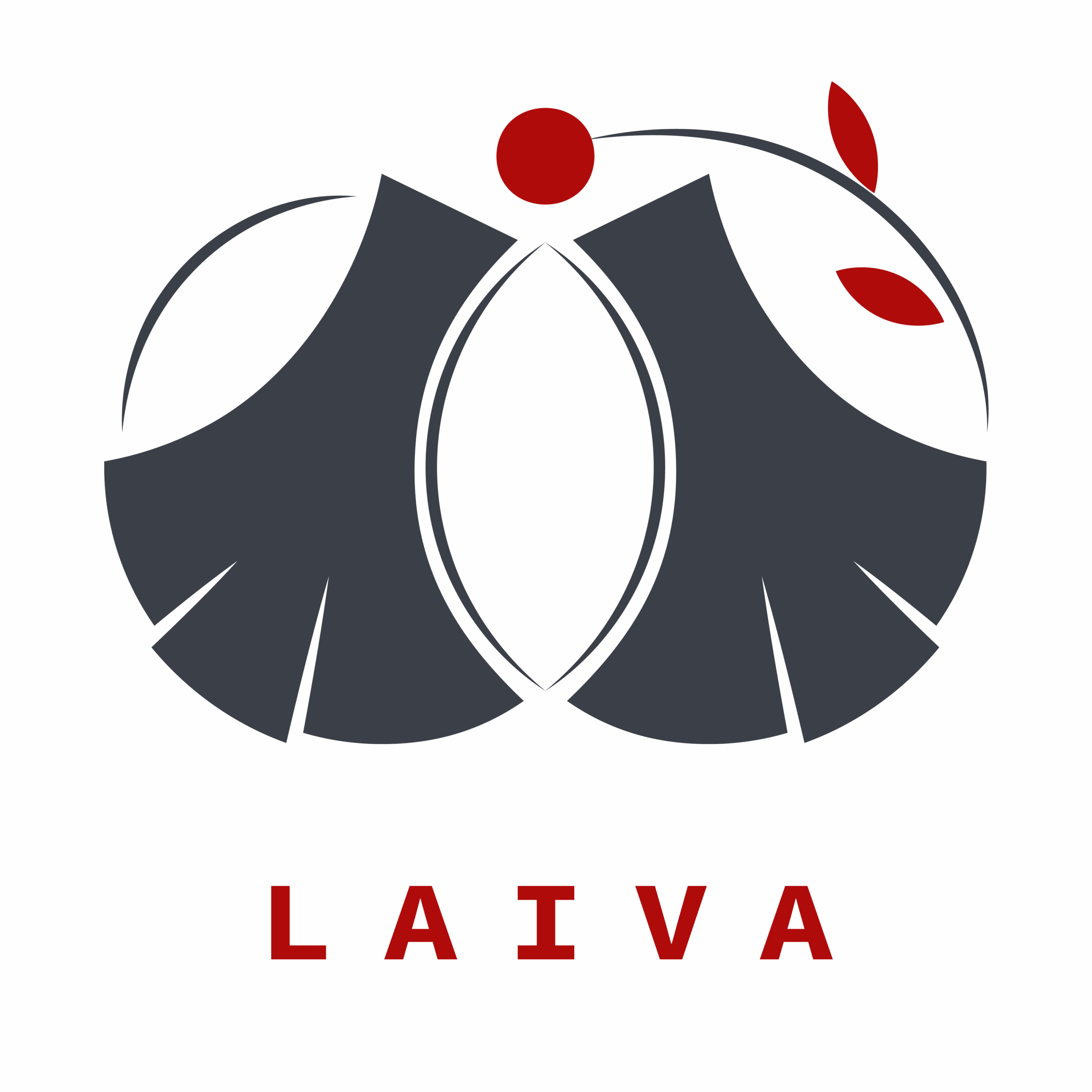laiva.cz